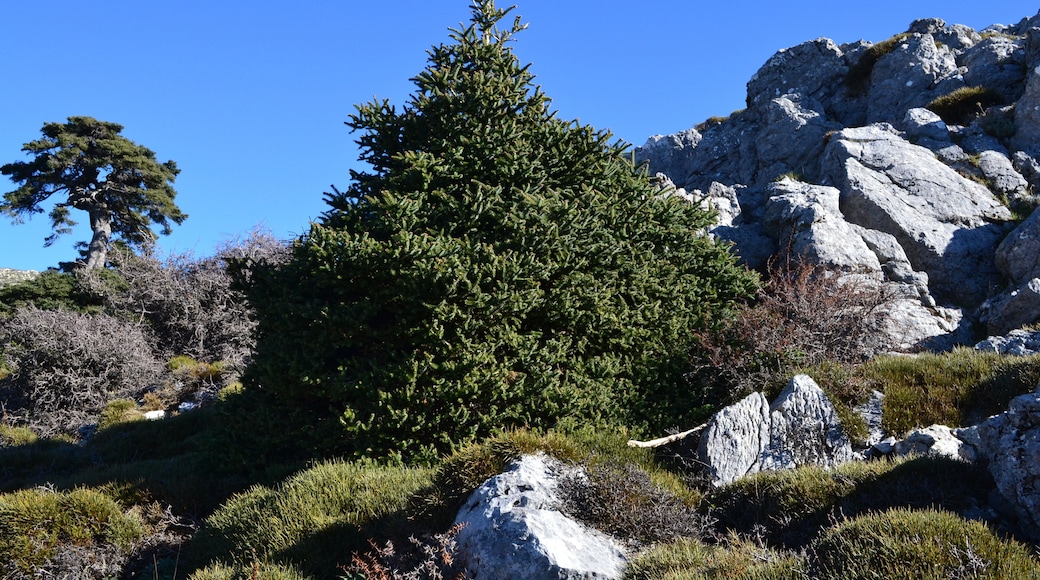 This is a photography of a Site of Community Importance in Spain with the ID: