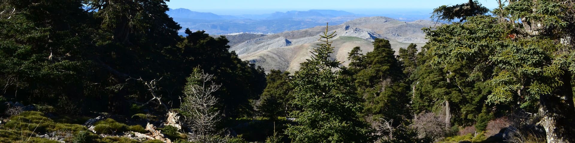 This is a photography of a Site of Community Importance in Spain with the ID: