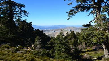 This is a photography of a Site of Community Importance in Spain with the ID: