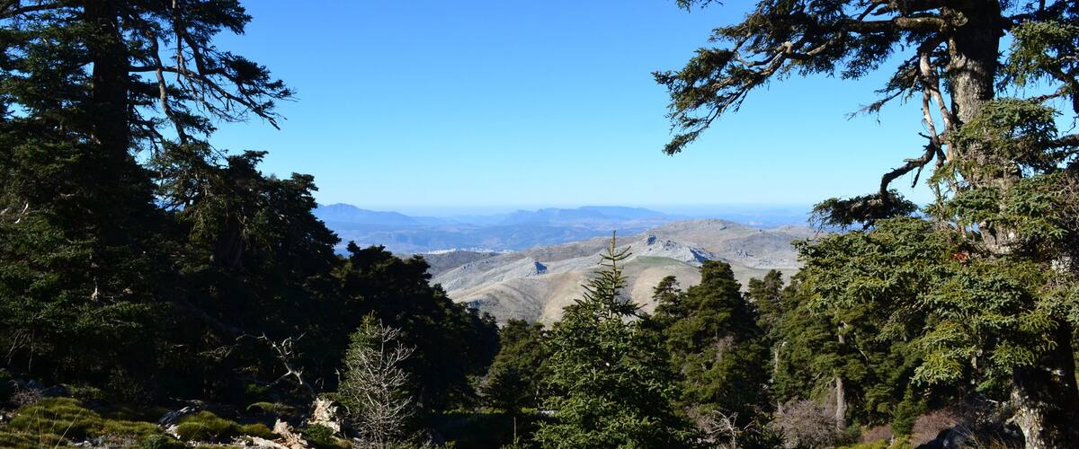 A mountainous landscape with dense forests and a clear blue sky.