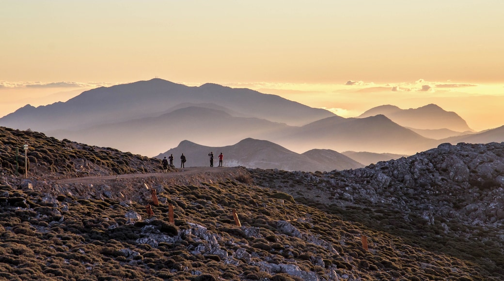 This is a photography of a Site of Community Importance in Spain with the ID: