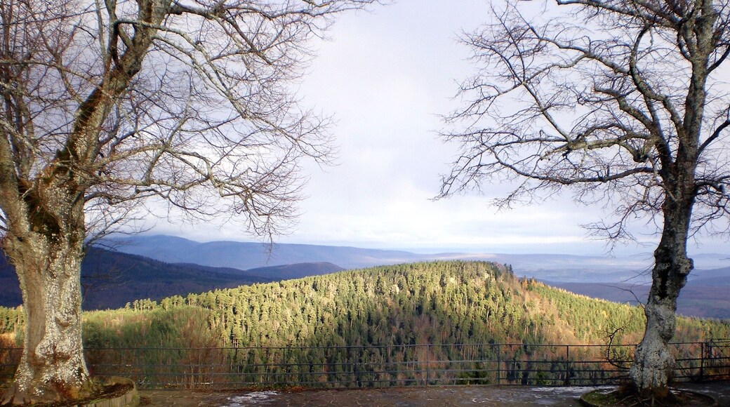 A superb view on the area .