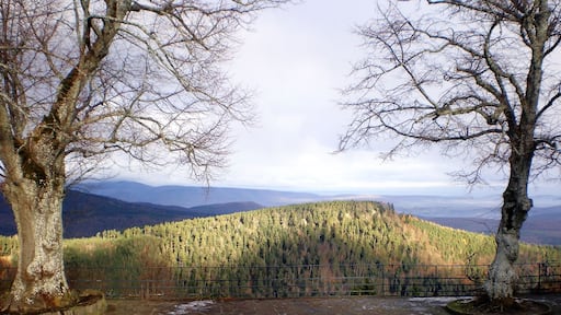 A superb view on the area .