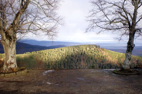 A superb view on the area .