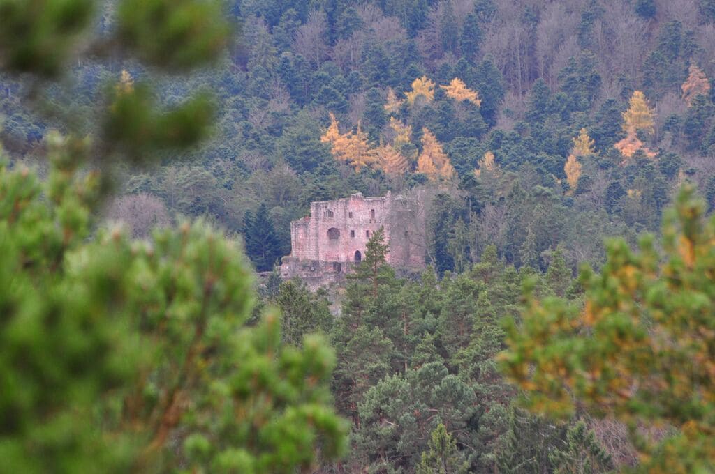 A historic stone building surrounded by dense forest with autumn-colored trees.