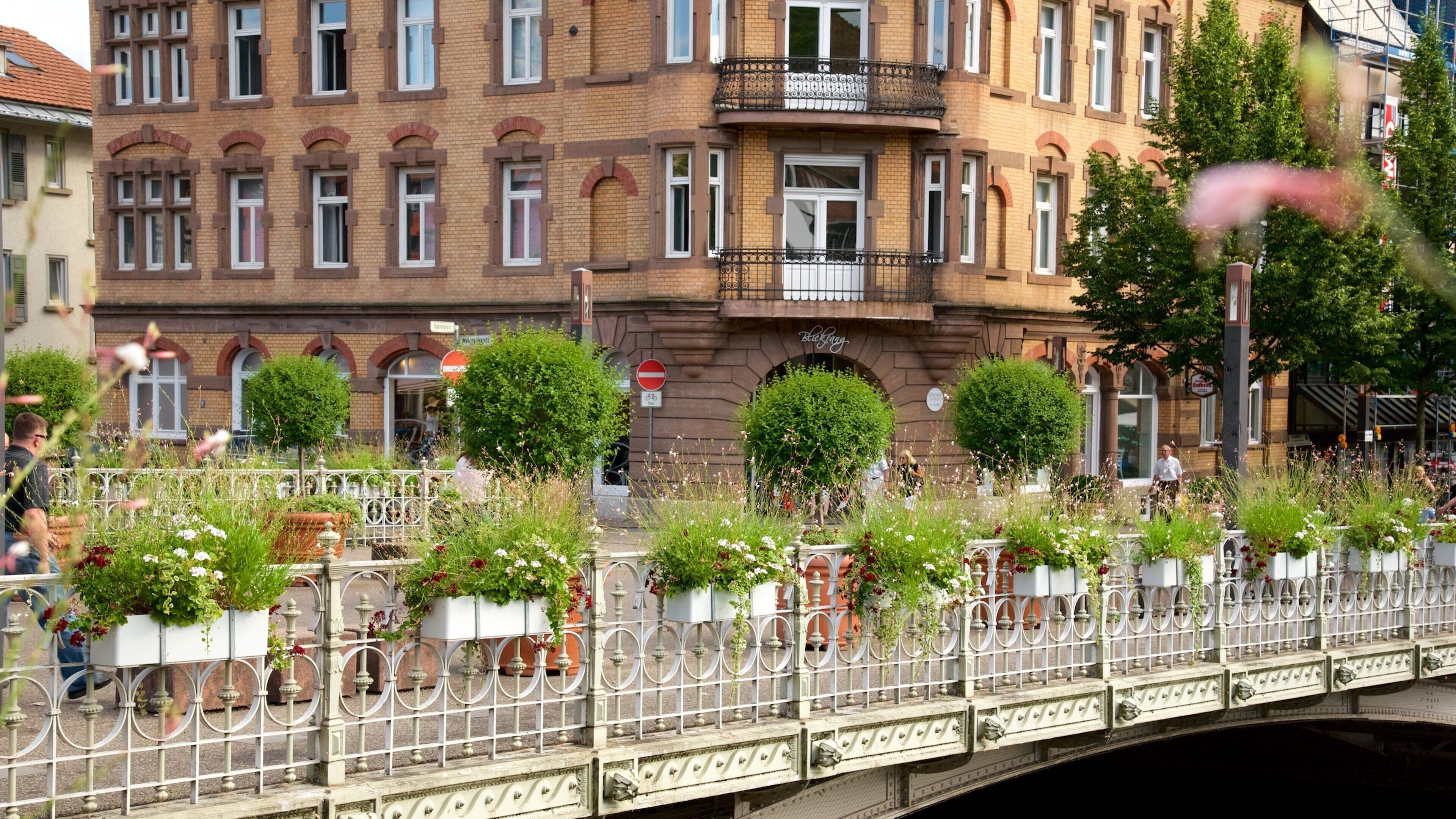 Esslingen showing street scenes