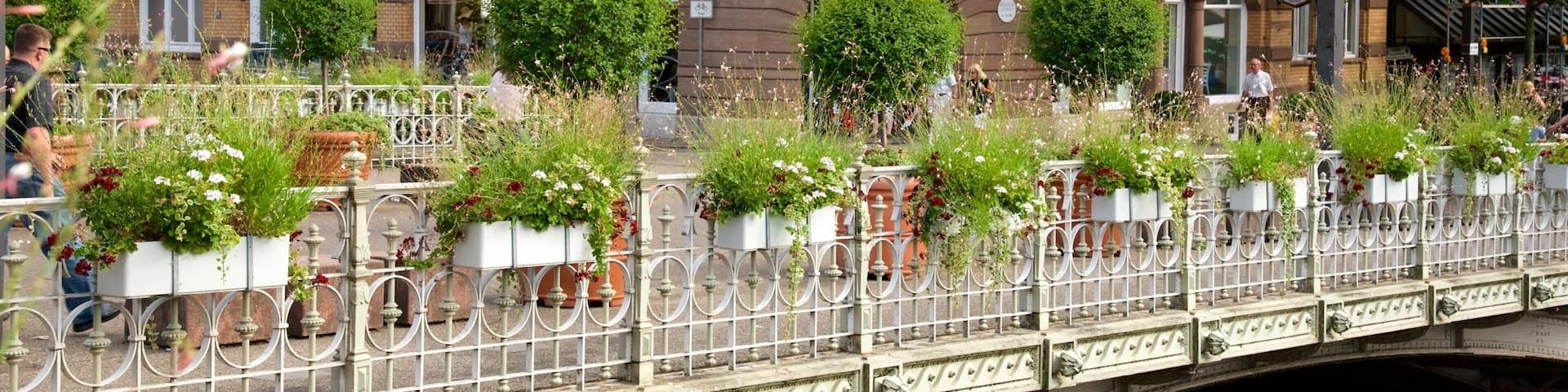 Esslingen showing street scenes