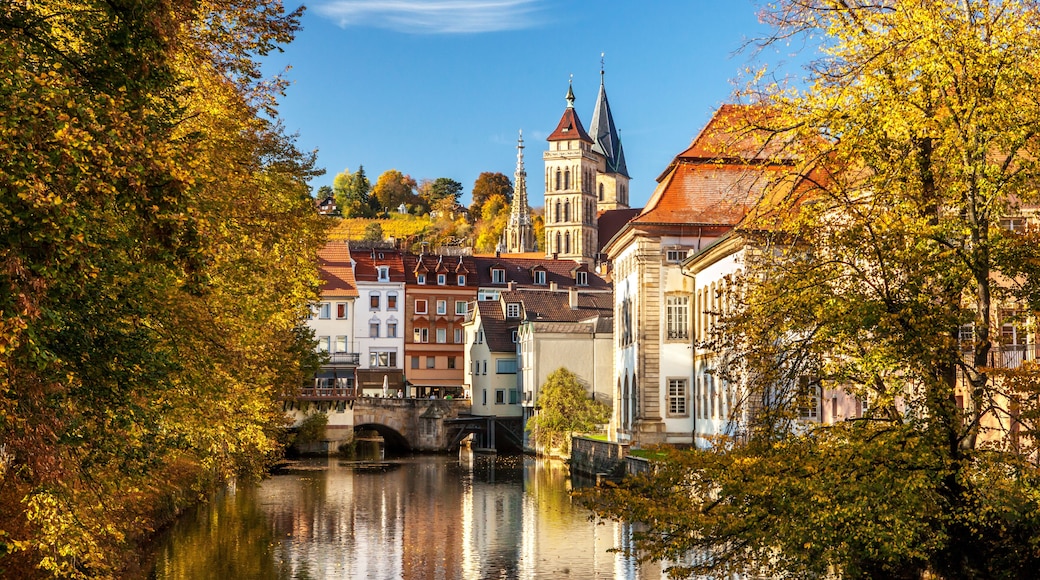Distrito de Esslingen
