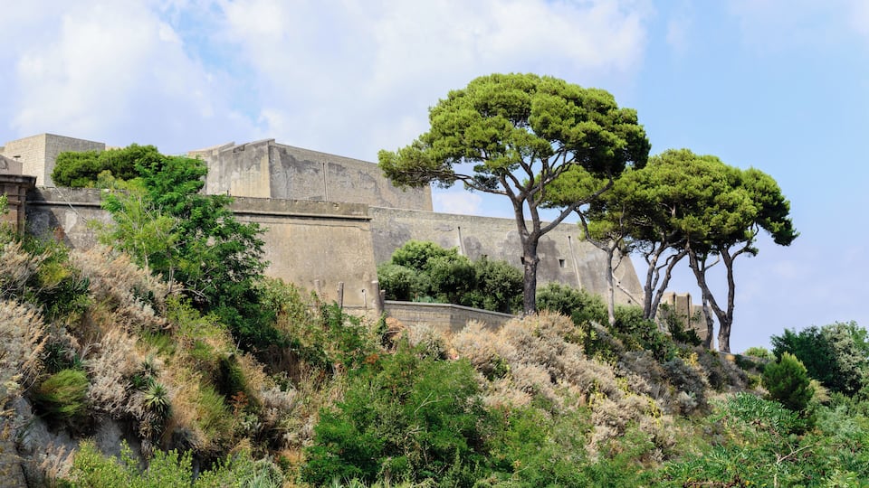 A historic stone fortress with dense green vegetation and trees on its slopes.