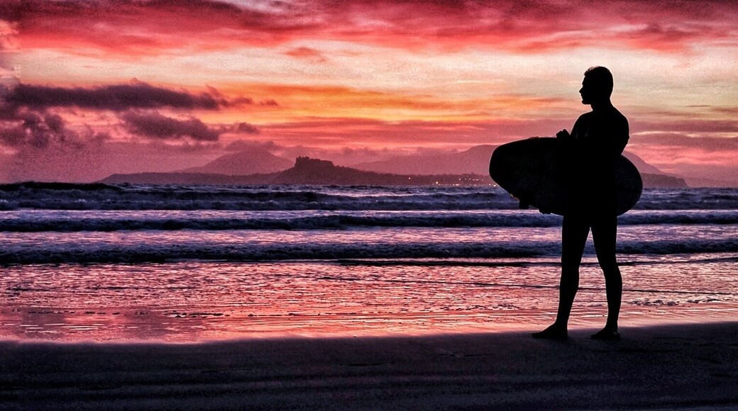 Historically, the cape was important to the Romans since it was a natural shelter for passage into the inner harbor of Portus Julius, the home port for the Roman western imperial fleet. Mythologically, important sections of the Aeneid play out in the Gulf of Naples: This is where Aeneas' comrade, Misenus, master of the sea-horn — the conch-shell — made "the waves ring" with his music and challenged the sea-god Triton to musical battle. He was dashed into the sea and killed by "jealous Triton". Then:
"...Pious Aeneassets up a mighty tomb above Misenusbearing his arms, a trumpet, and an oar;it stands beneath a lofty promontory,now known as Cape Misenus after him:it keeps a name that lasts through all the ages."(trans. Allen Mandelbaum. The Aeneid. Bantam. 1981)