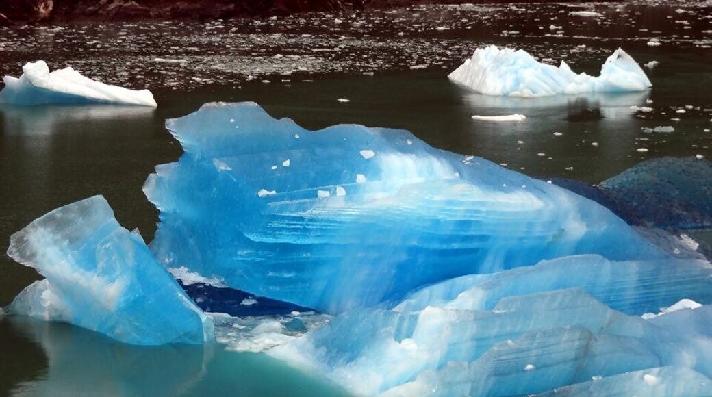 Tracy Arm, Tongass National Forest, Alaska, USA