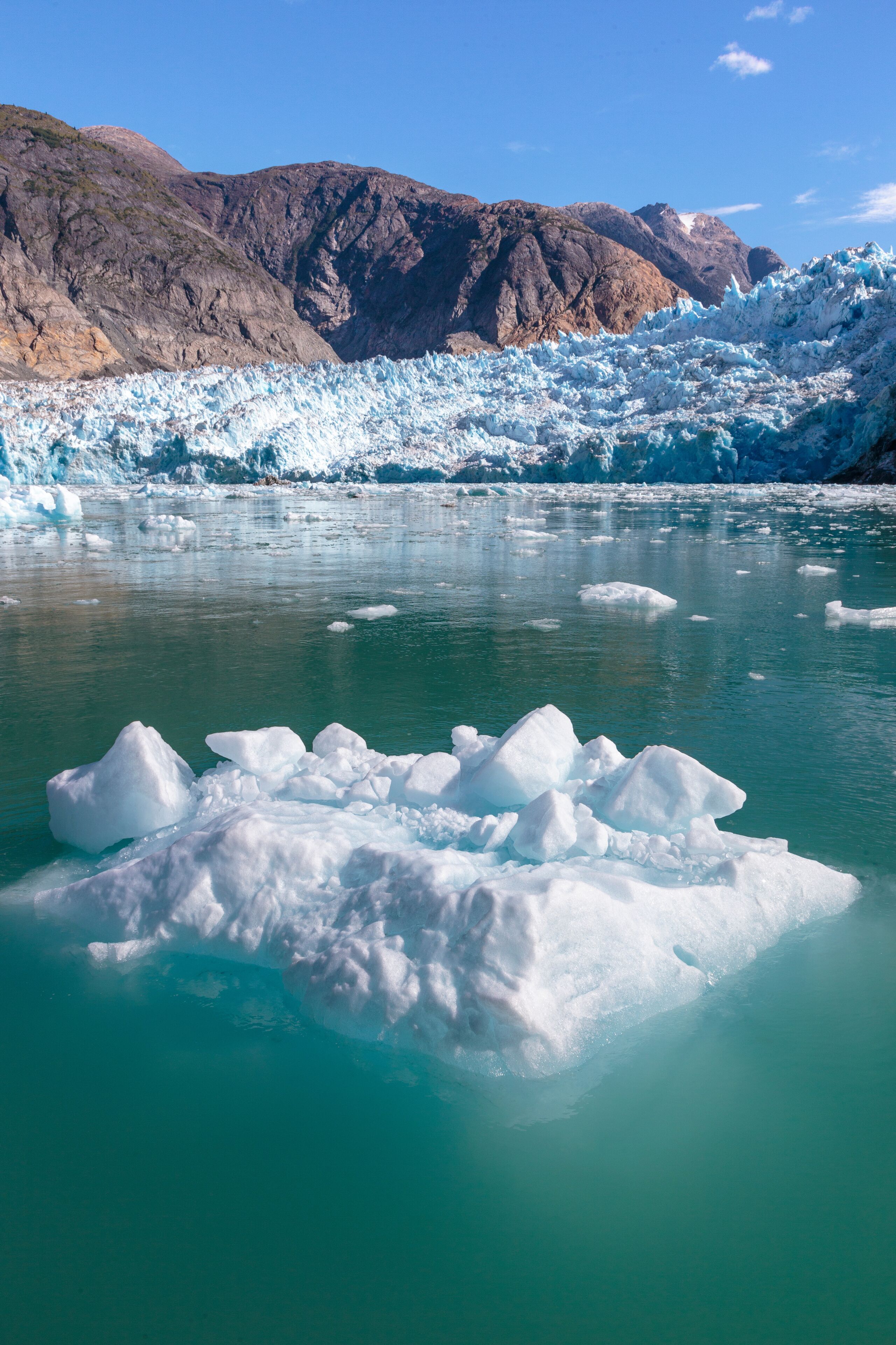 Fiordo Tracy Arm