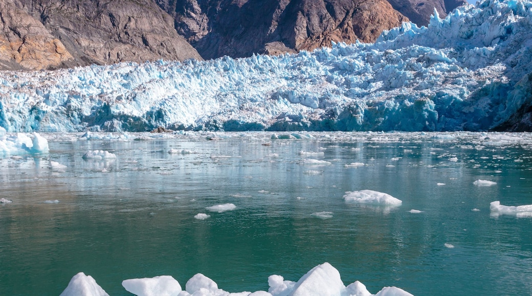 Fiordo Tracy Arm
