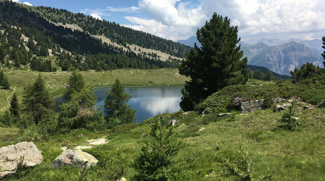 Alps in the summer. Many ski resorts in the French Alps operate their lifts so one can get to high altitude lakes effortlessly for a delightful picnic. My favorite so far is Saint Jean de Monclar near Barcelonnette.