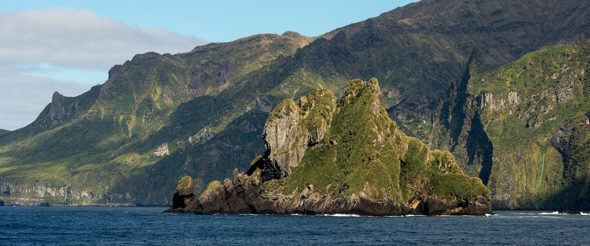 Ile Gough, Archipel Tristan da Cunha, Atlantique Sud, quarantièmes rugissants, patrimoine mondial UNESCO, territoires britanniques d'outre mer de Sainte Hélène