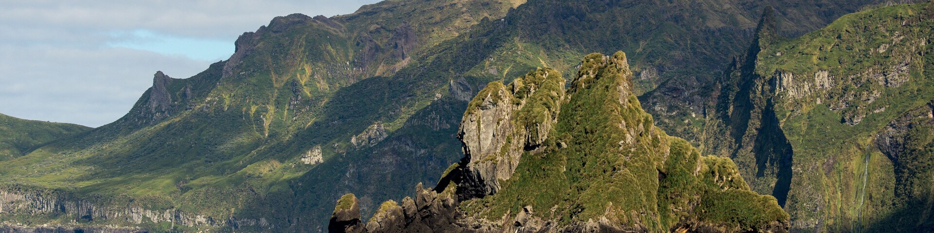 Ile Gough, Archipel Tristan da Cunha, Atlantique Sud, quarantièmes rugissants, patrimoine mondial UNESCO, territoires britanniques d'outre mer de Sainte Hélène