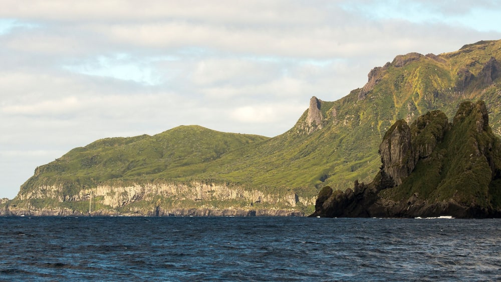Ile Gough, Archipel Tristan da Cunha, Atlantique Sud, quarantièmes rugissants, patrimoine mondial UNESCO, territoires britanniques d'outre mer de Sainte Hélène