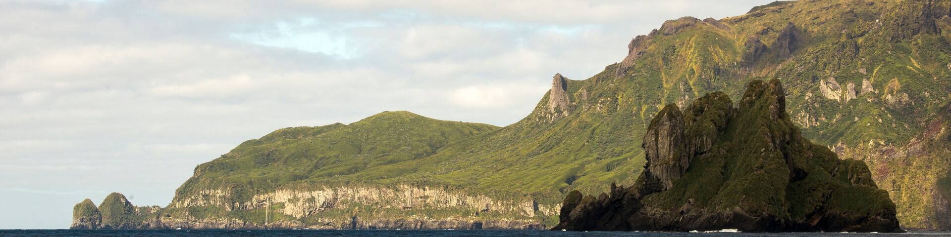 Ile Gough, Archipel Tristan da Cunha, Atlantique Sud, quarantièmes rugissants, patrimoine mondial UNESCO, territoires britanniques d'outre mer de Sainte Hélène
