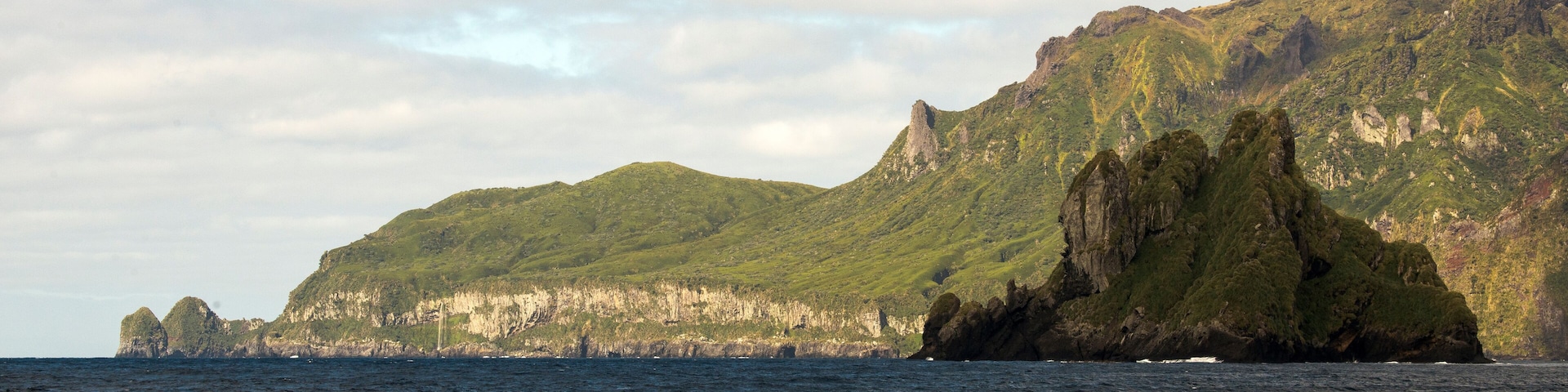 Ile Gough, Archipel Tristan da Cunha, Atlantique Sud, quarantièmes rugissants, patrimoine mondial UNESCO, territoires britanniques d'outre mer de Sainte Hélène