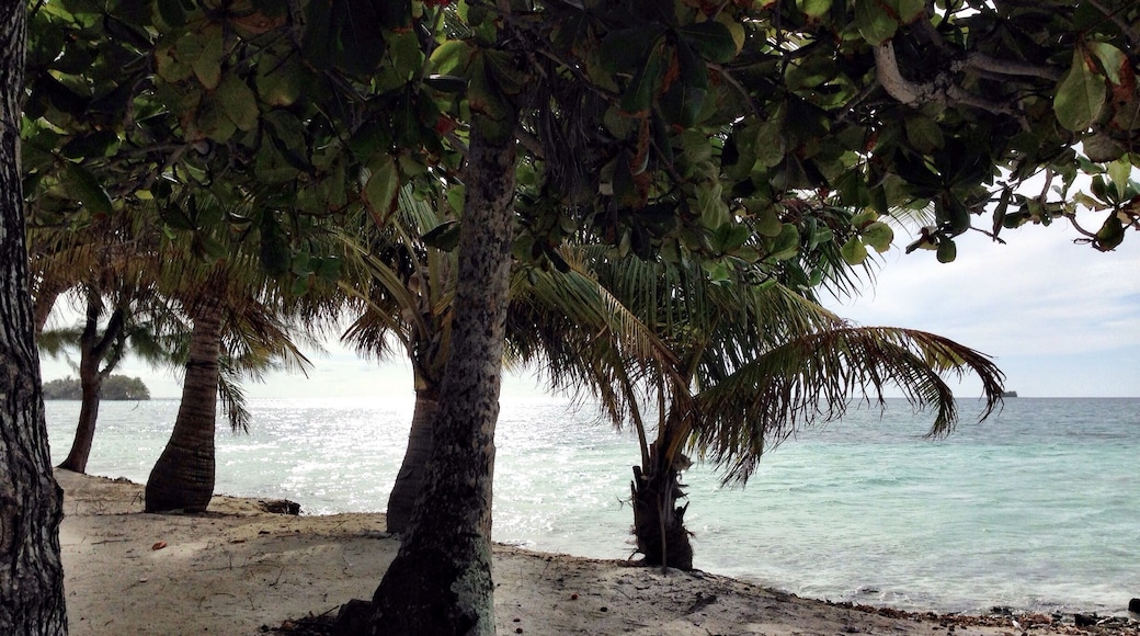 Pay a local $20 to boat you over to an isolated cay where on both sides of the island you can walk out in shallow white sand waters and snorkel the reef in between! The Island is less than a mile long and there is nothing on it but sand, Palm Trees and a hammock or two! Bring snacks and drinks! #honduras #watercay #utilaisland #snorkel #scubadive