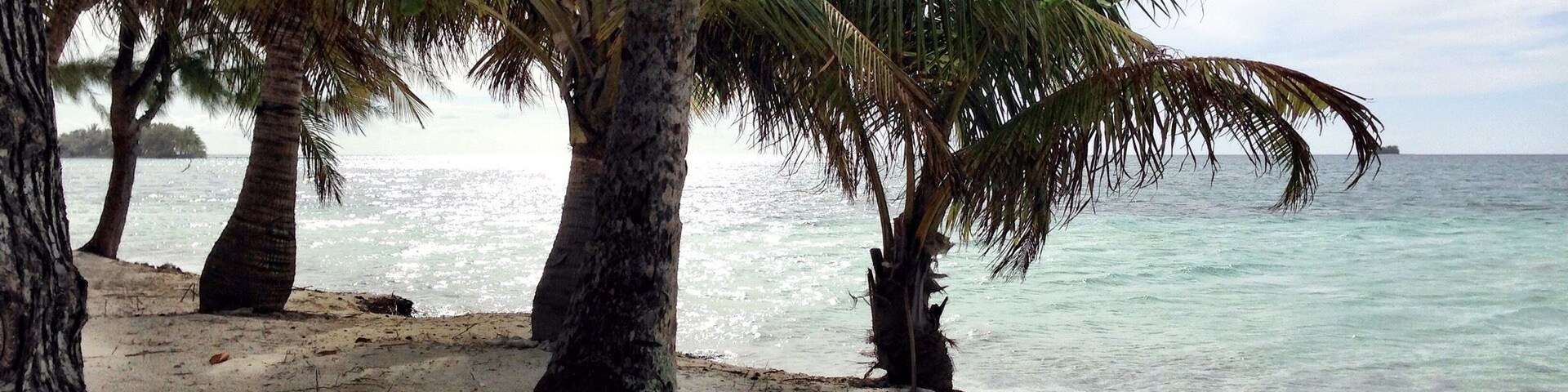 Pay a local $20 to boat you over to an isolated cay where on both sides of the island you can walk out in shallow white sand waters and snorkel the reef in between! The Island is less than a mile long and there is nothing on it but sand, Palm Trees and a hammock or two! Bring snacks and drinks! #honduras #watercay #utilaisland #snorkel #scubadive