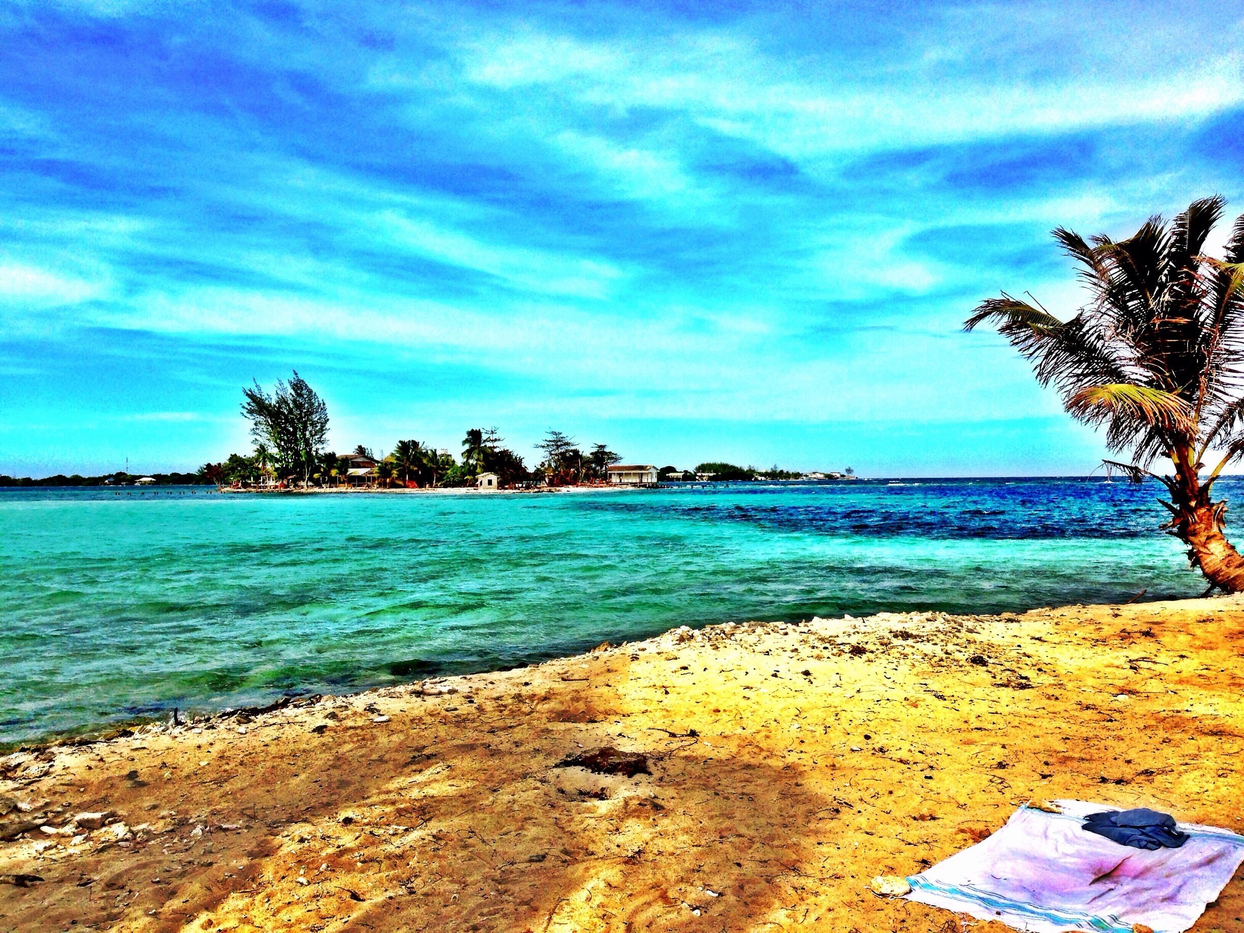Pay a local $20 to boat you over to an isolated cay where on both sides of the island you can walk out in shallow white sand waters and snorkel the reef in between! The Island is less than a mile long and there is nothing on it but sand, Palm Trees and a hammock or two! Bring snacks and drinks! #honduras #watercay #utilaisland #snorkel #scubadive