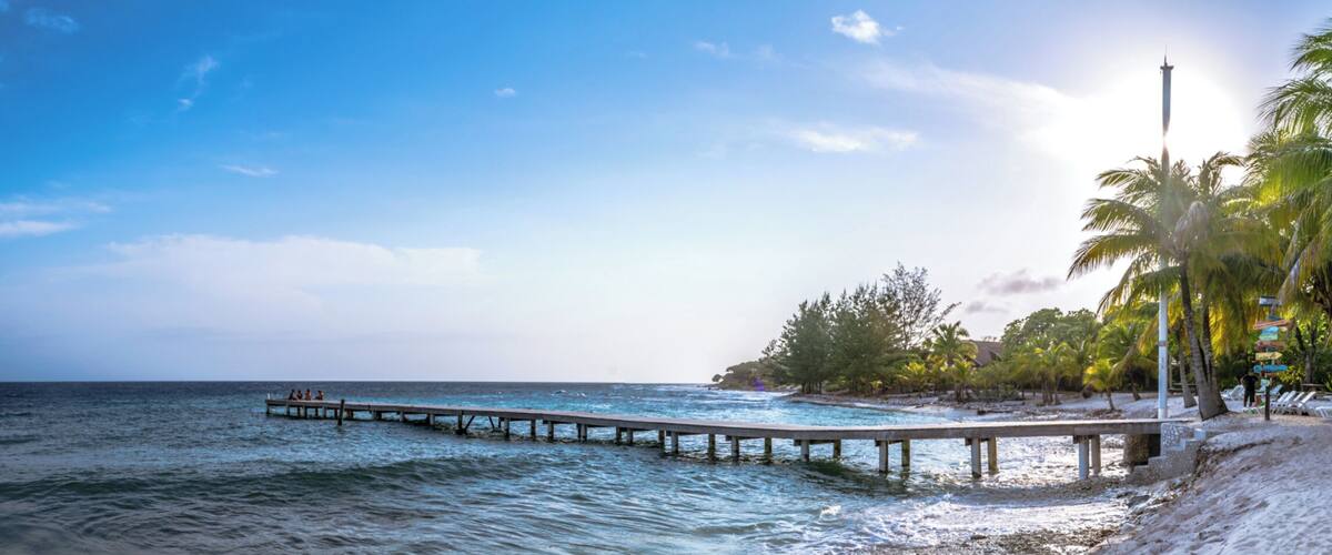 The dock at Neptunes beach takes you right into the coral. An amazing place to either snorkel, free dive or dive.