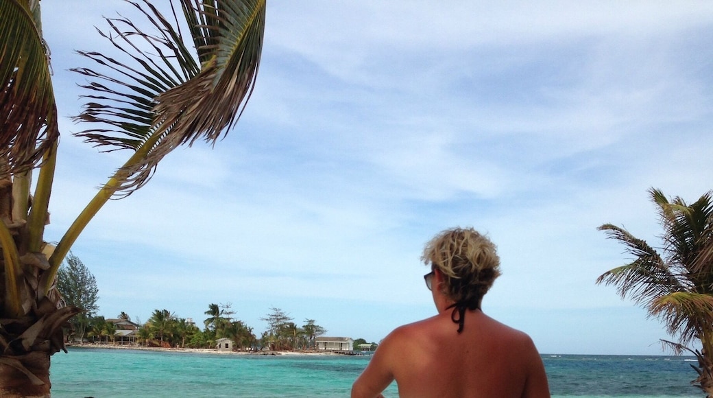 Less than a mile long with stomach high water and coral reefs all around it. You can walk out in the water forever in the white sand bottoms. Tree hammocks and total isolation. Worth paying a local $20 to take you out there to hang for a while! Bring snacks and drinks. There's nothing on the island. This is off of Utila Island in Honduras!
