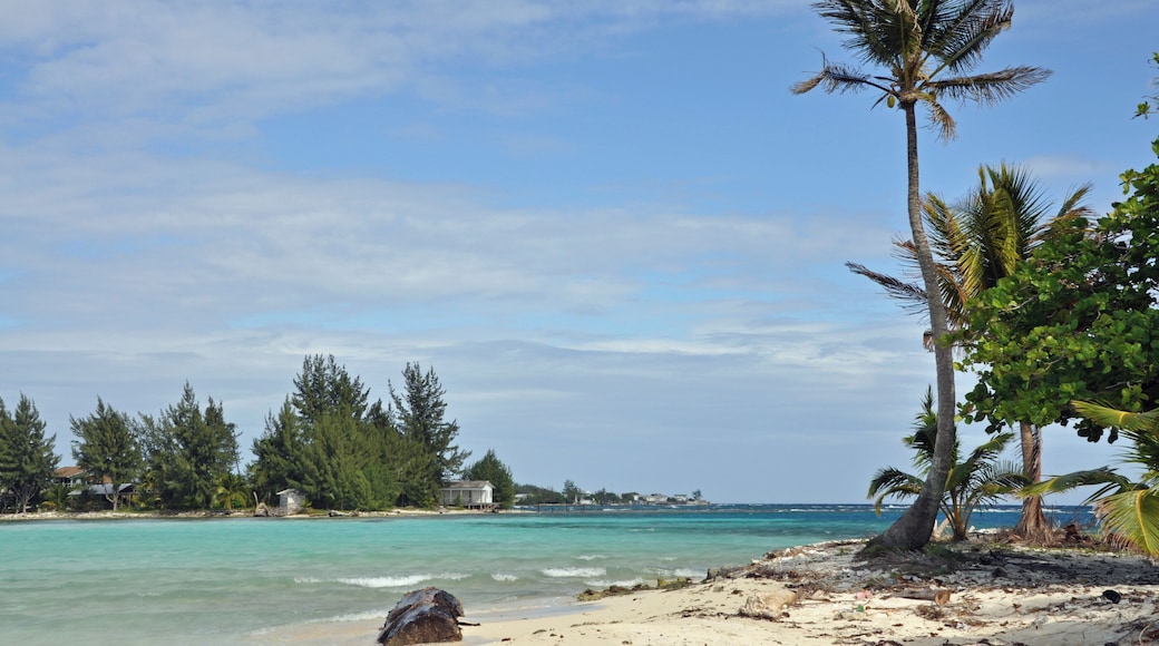 إيسلا دو يوتيلا