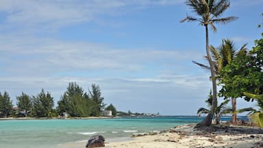 Keys of Utila; Bay Islands, Honduras