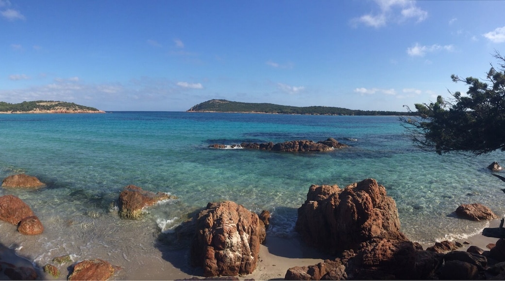 Another amazing view of Rondinara beach, south Corsica
#beachbound