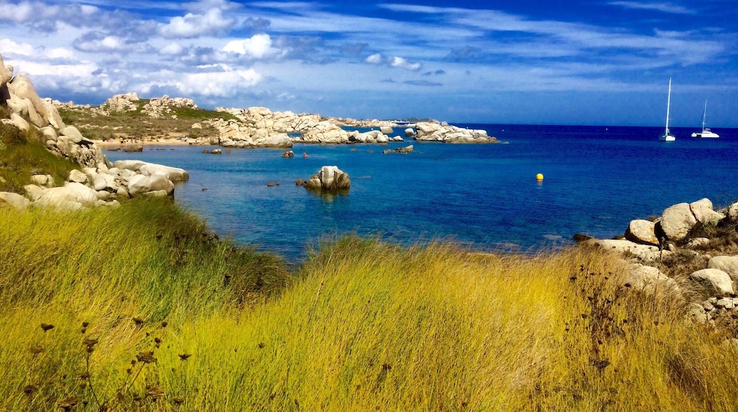 A little slice of heaven on an uninhabited island