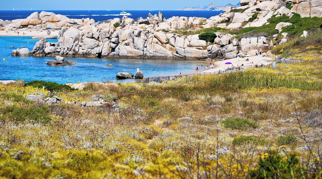 #LifeAtExpedia
Tip: It is best to avoid the school holiday periods to visit this island. It is a very popular place to go and get quite crowded.