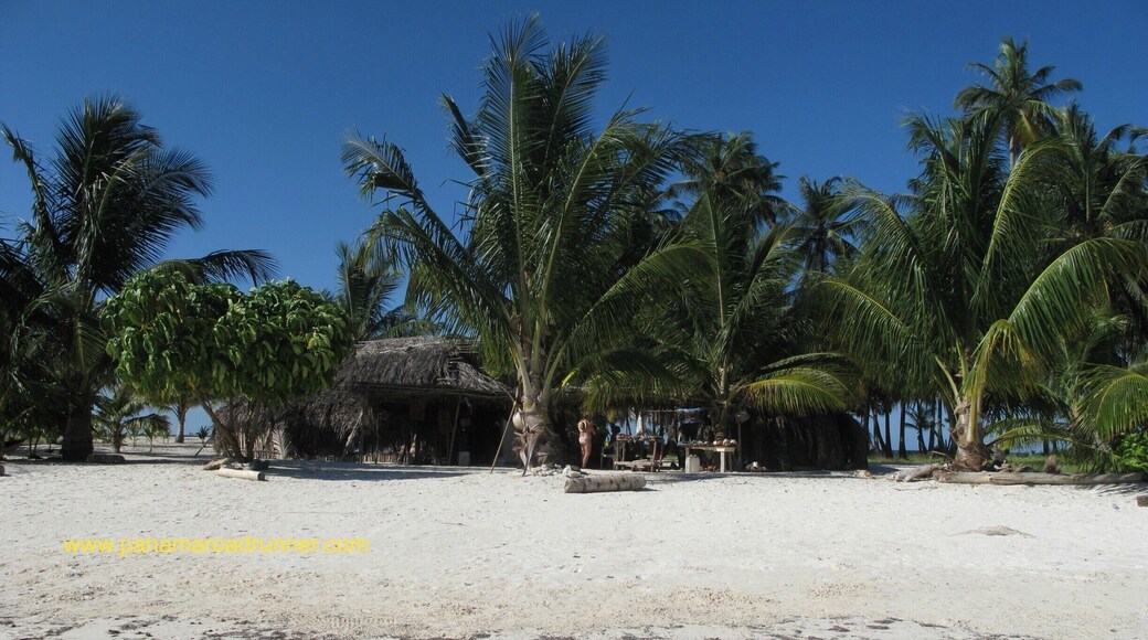 Coiba is a National Park about 5 hours from Panama City. Coiba was a penal colony until 2004 but now is a wildlife sanctuary and home to some near extinct fauna as well. The beaches are beautiful and it is a great place to snorkel and scuba.