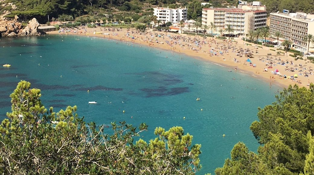 Cala de Sant Vicent in Ibiza. Ibiza is well known for its many calas (coves) with crystal clear waters. In the summer, where the south is full with party goers, why not rent a car and make your way to the North of the Island? You will enjoy beautiful sights along the way, and enjoy more tranquil waters and cheaper loungers and food #lifeatexpedia