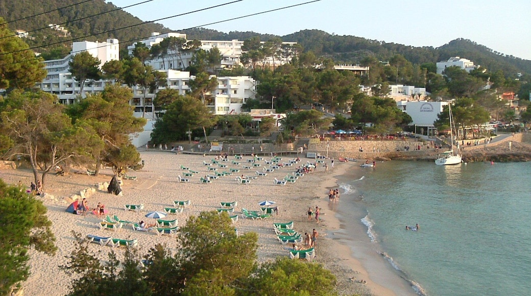Taken at Portinatx in Ibiza, Spain.
#Holiday #Spain #Ibiza #Portinatx #Beach #Sea #Sand #View