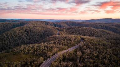 Sunrise at Bilpin Blue Mountains National Park, NSW, Australia.
