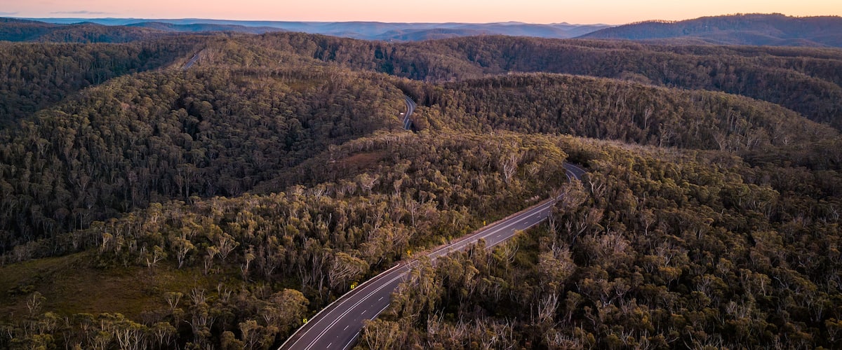 A winding road through a dense forest with a sunset sky.