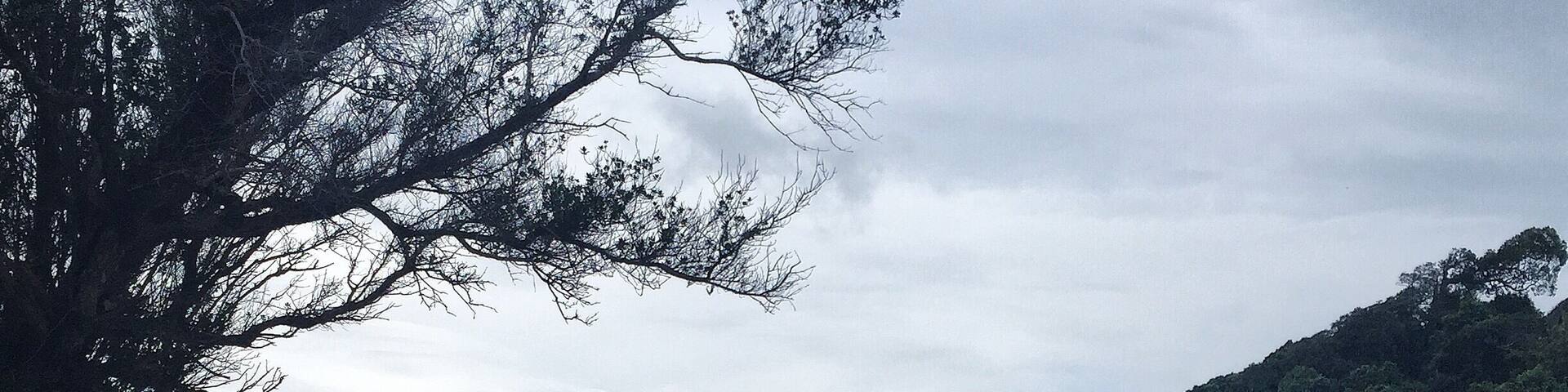 Hiking in Ko Lanta National Park between monkeys and tropical forest trees. Cost of the entry is not so expensive and you'll be free to relax on the beach, to practice some outside yoga or to hick the forest or the rocks by walk, all the day. Be careful from the monkeys which are freely walking in the Park, but which can become a little bit agressive if you stay to close from them.
#beachbound