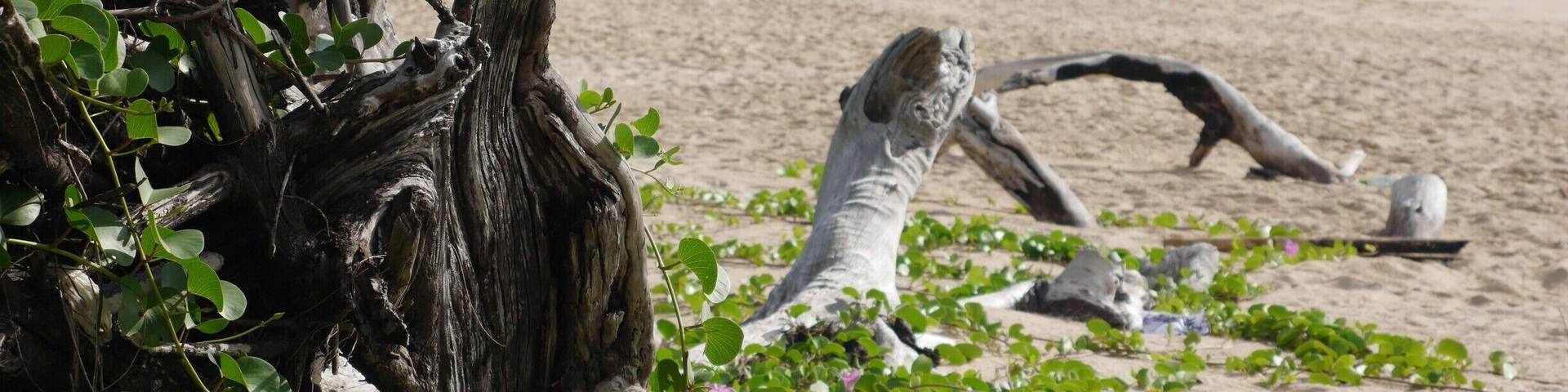 Lanta's Long Beach is a piece of paradise! 4 km stretch of white sand and blue water combined with a laid back atmosphere, friendly locals and cool bars.