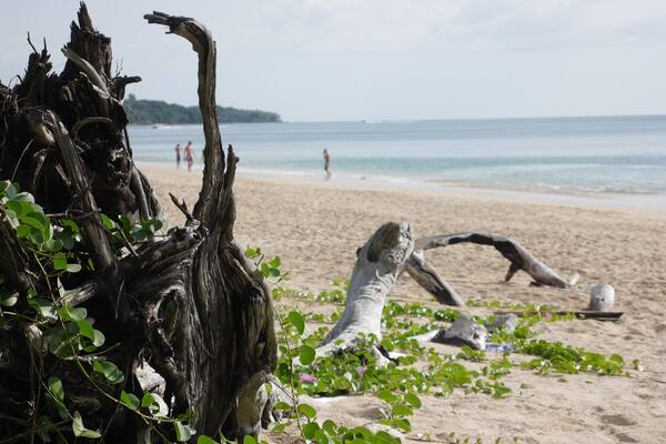 Lanta's Long Beach is a piece of paradise! 4 km stretch of white sand and blue water combined with a laid back atmosphere, friendly locals and cool bars.