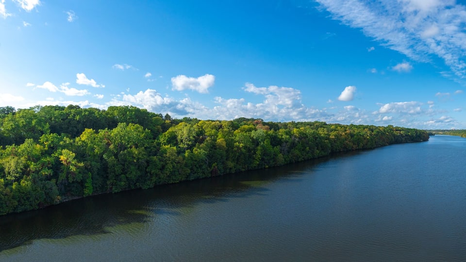 A river flanked by dense green forests under a clear blue sky with scattered clouds.