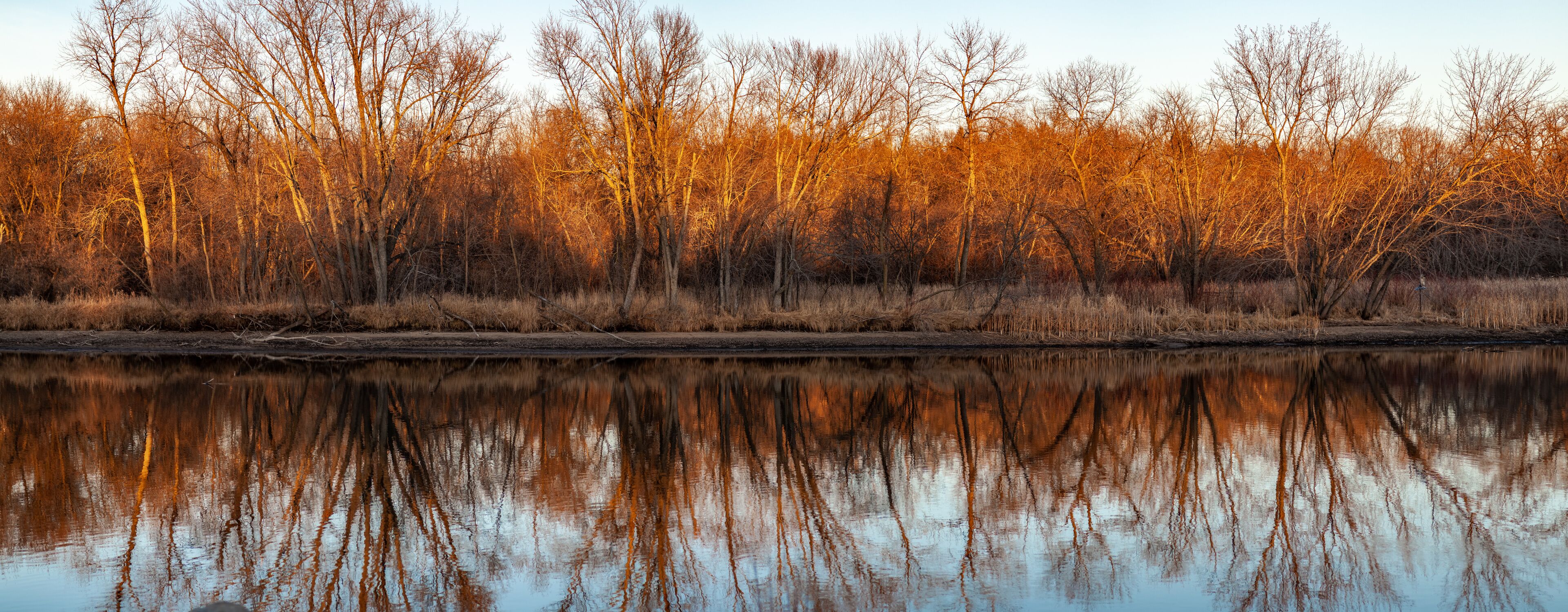 Autumn Mississippi River Forest Panorama