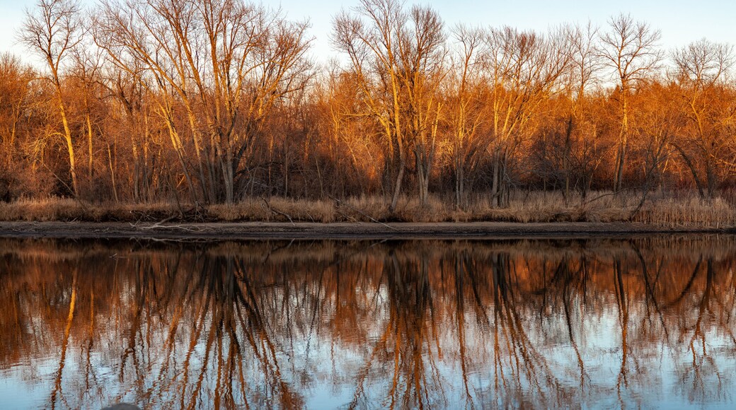 Autumn Mississippi River Forest Panorama