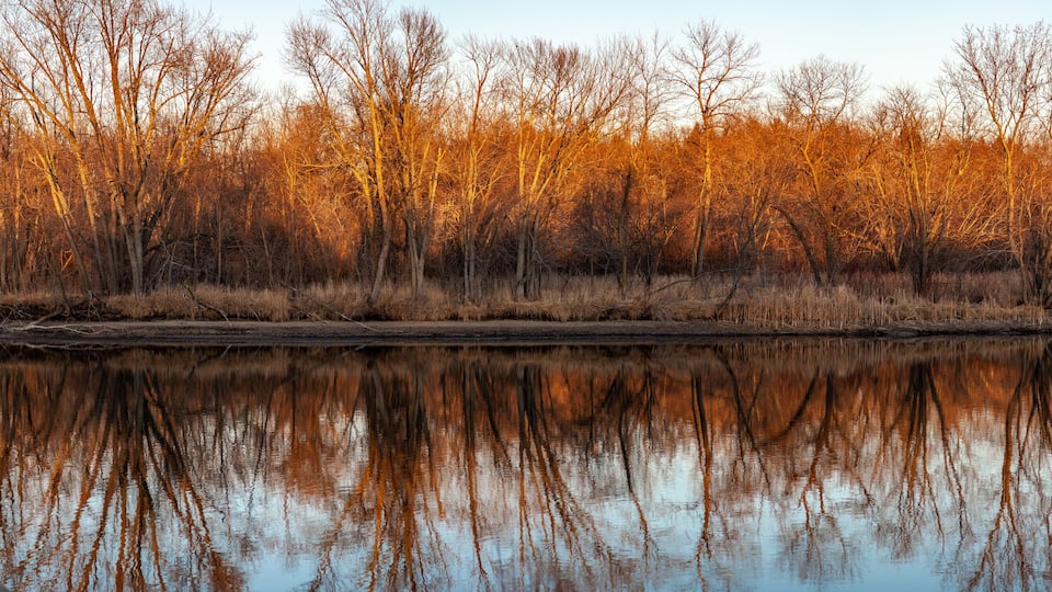 A calm river reflecting leafless trees with autumn colors.