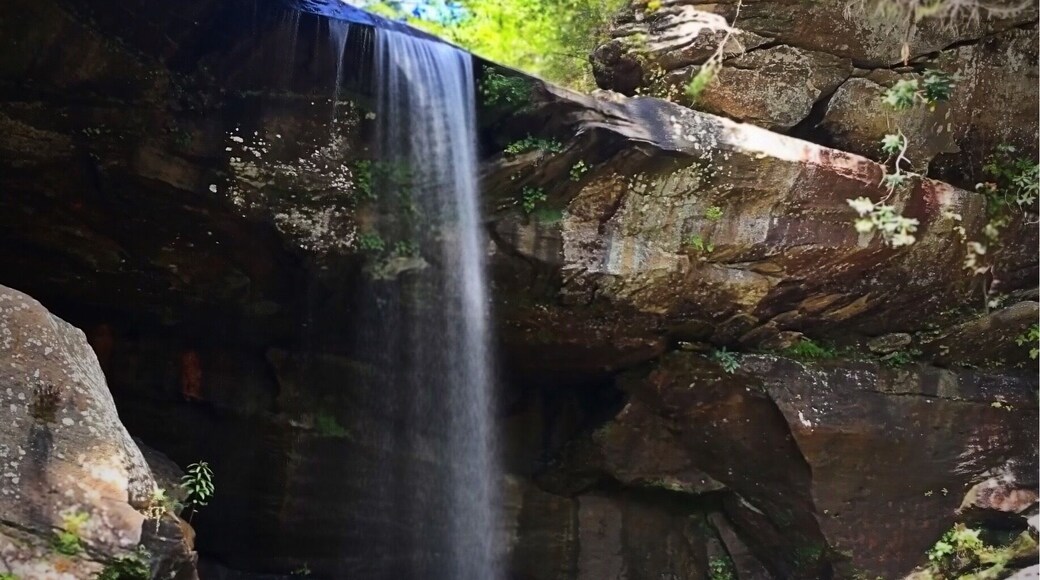 Nice little waterfall in the Cumberland State Park.