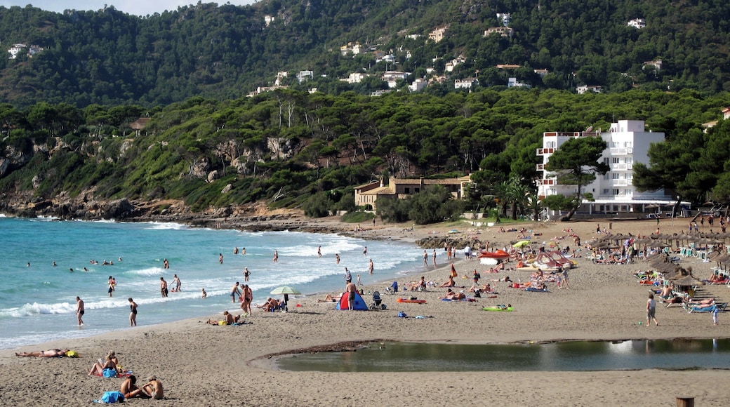 Strand von Canyamel (Platja de Canyamel), Gemeinde Capdepera, Mallorca, Spanien