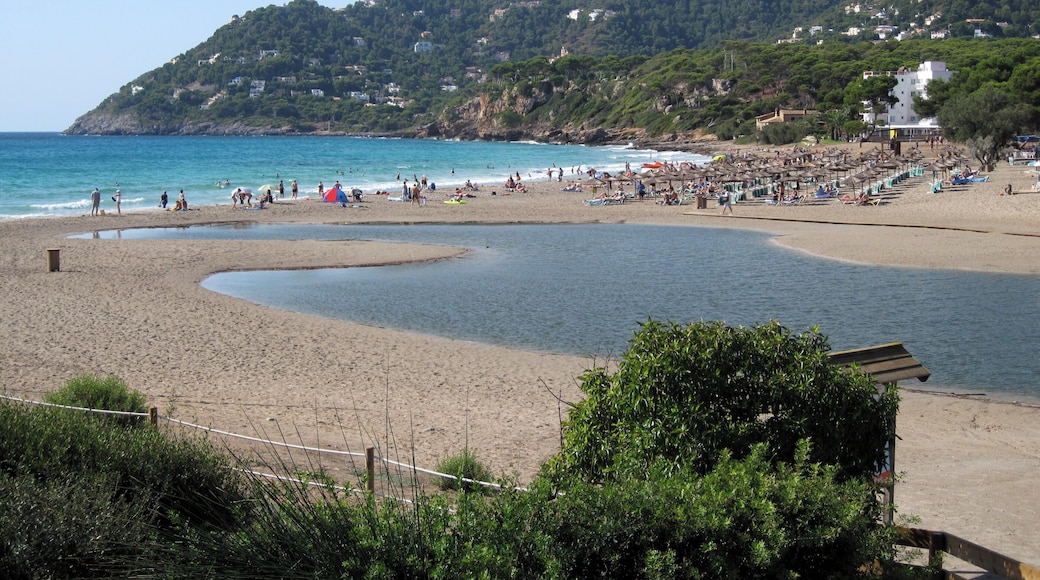 Strand von Canyamel (Platja de Canyamel), Gemeinde Capdepera, Mallorca, Spanien
