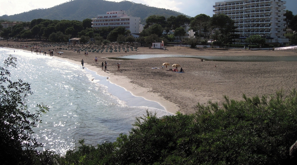 Strand von Canyamel (Platja de Canyamel), Gemeinde Capdepera, Mallorca, Spanien
