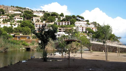 Torrent de sa Farinera oder Torrent de Canyamel nahe der Mündung ins Mittelmeer, Gemeinde Capdepera, Mallorca, Spanien